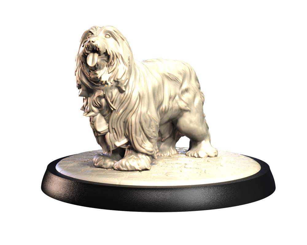 Unpainted 3D printed miniature of a Bearded Collie dog with long fur, standing on a textured circular display base.