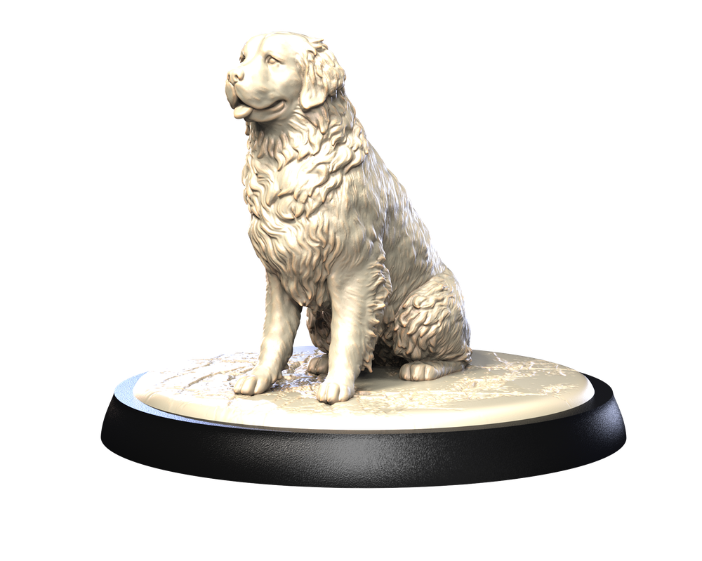Unpainted 3D printed resin miniature of a Bernese Mountain Dog sitting on a round display base.