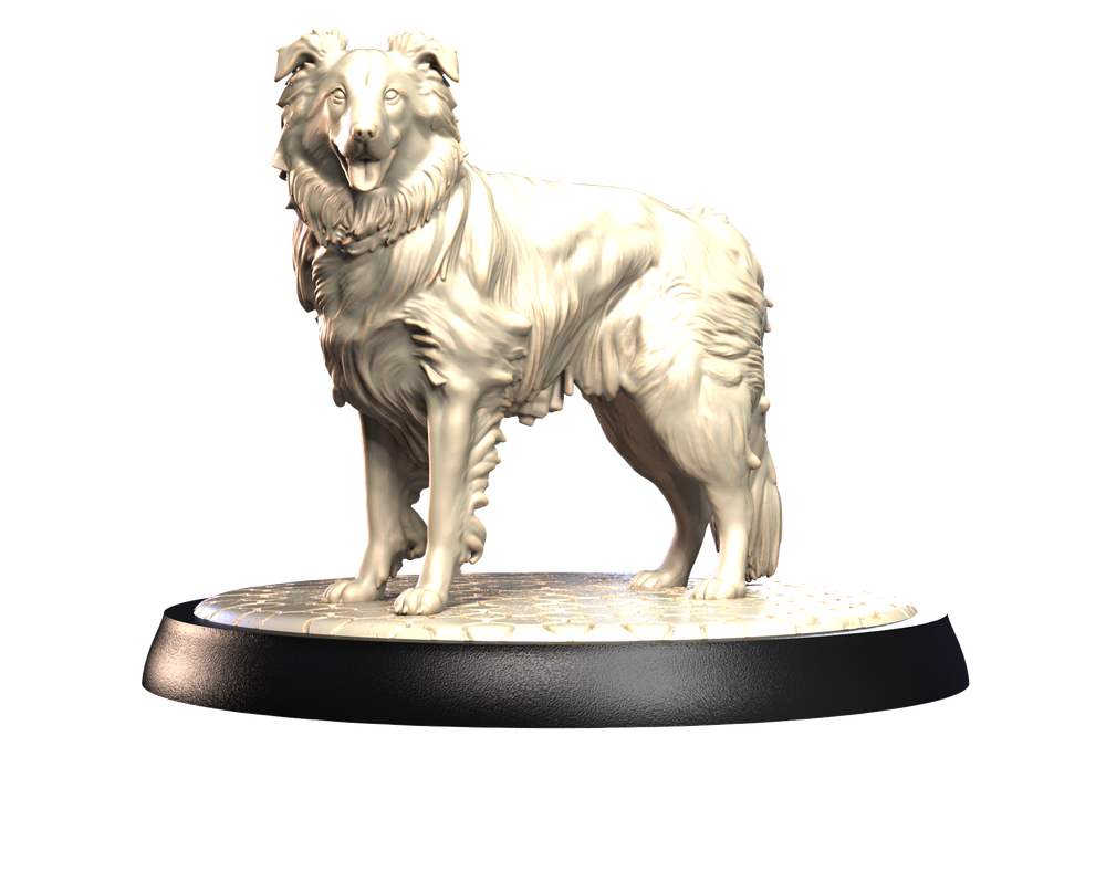 Unpainted 3D printed resin Border Collie miniature standing on a textured circular display base.