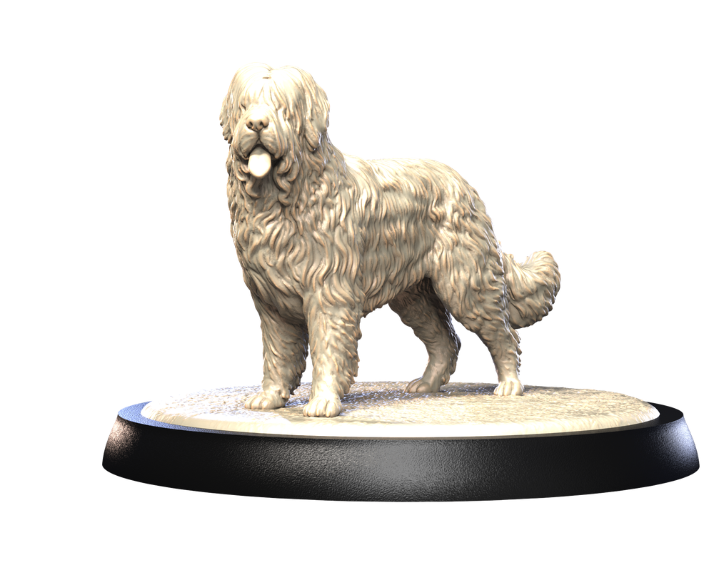 Unpainted 3D printed resin miniature of a Briard dog with detailed fur texture, standing on a round black display base.
