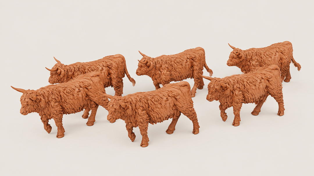 Painted-F002 Highland Cows Walking x 6