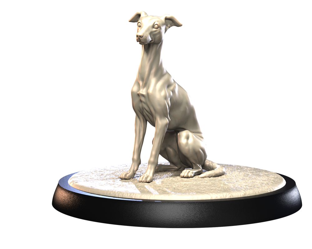 Unpainted 3D printed resin model of a sitting Italian Greyhound on a circular display base.
