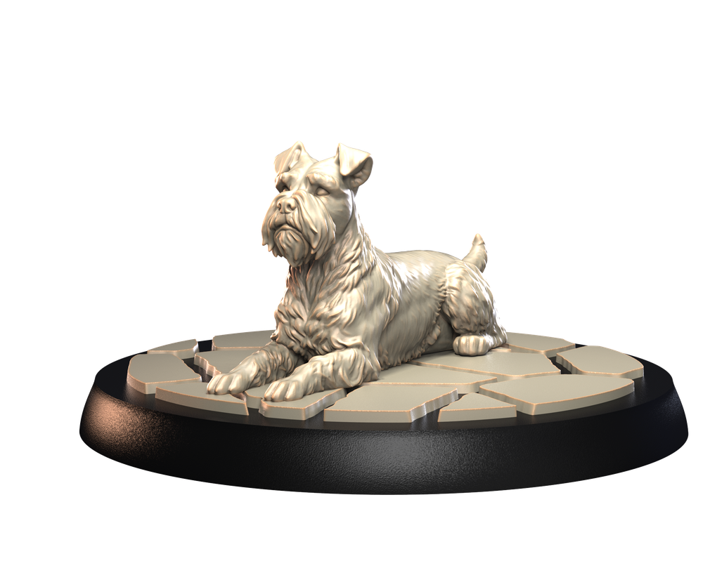 Unpainted 3D printed miniature of a Miniature Schnauzer dog lying on a stone-effect base for dioramas.