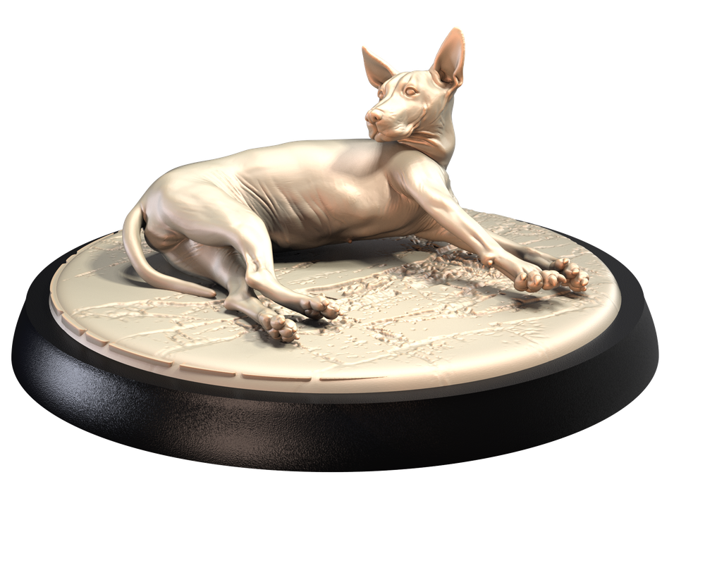 Unpainted 3D printed resin model of a Peruvian Inca Orchid dog lying on a textured circular display base.