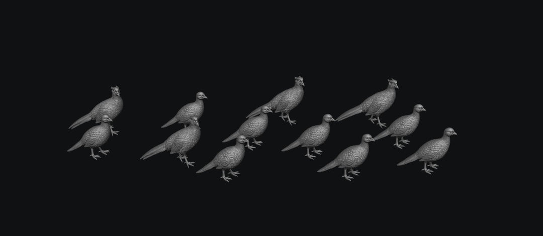 SWB009 Pheasants x 12