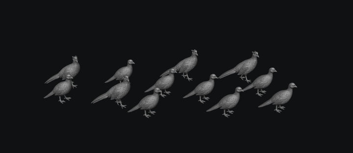 SWB009 Pheasants x 12