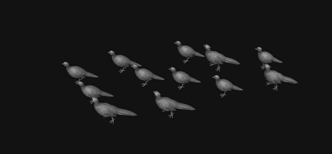 SWB009 Pheasants x 12