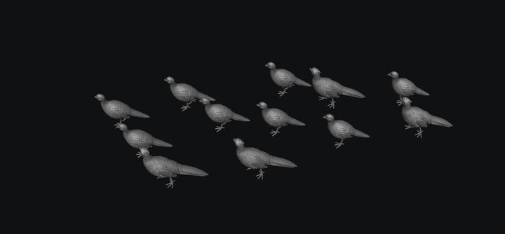 SWB009 Pheasants x 12