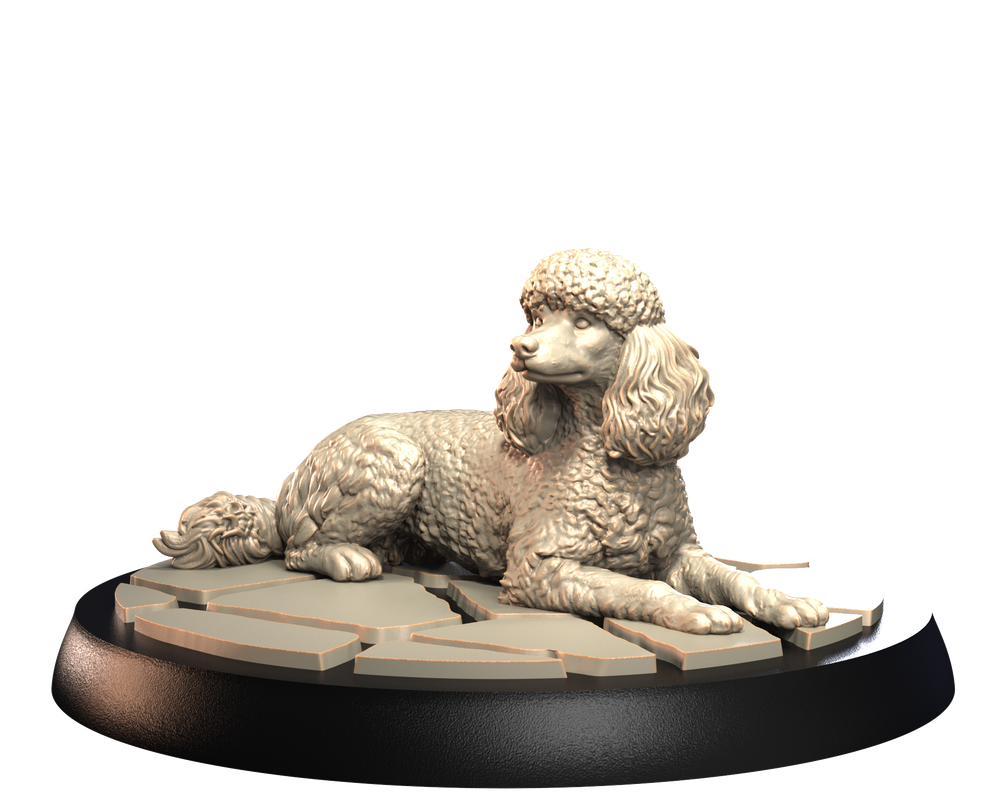 Unpainted 3D printed resin miniature of a poodle lying on a stone-effect base, designed for dioramas and hobbyists.