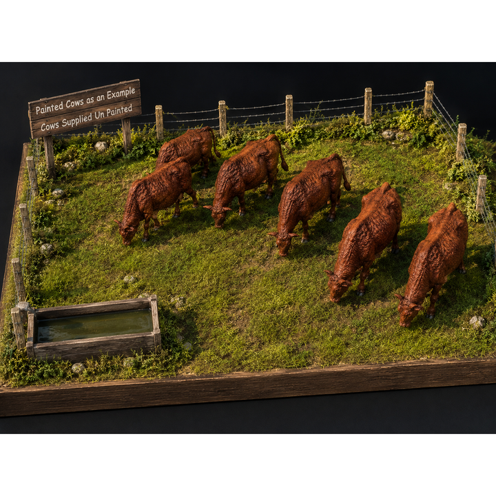 SMFF001 Red Devon Cows Grazing x 6