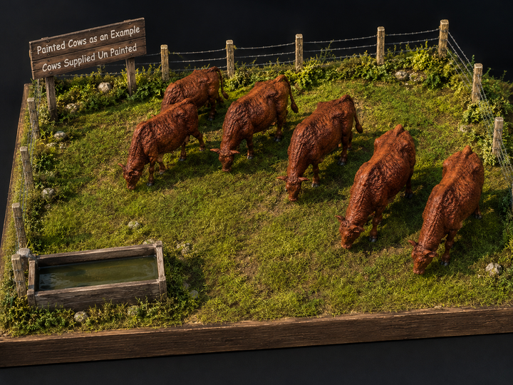 Painted-F001 Red Devon Cows Grazing x 6