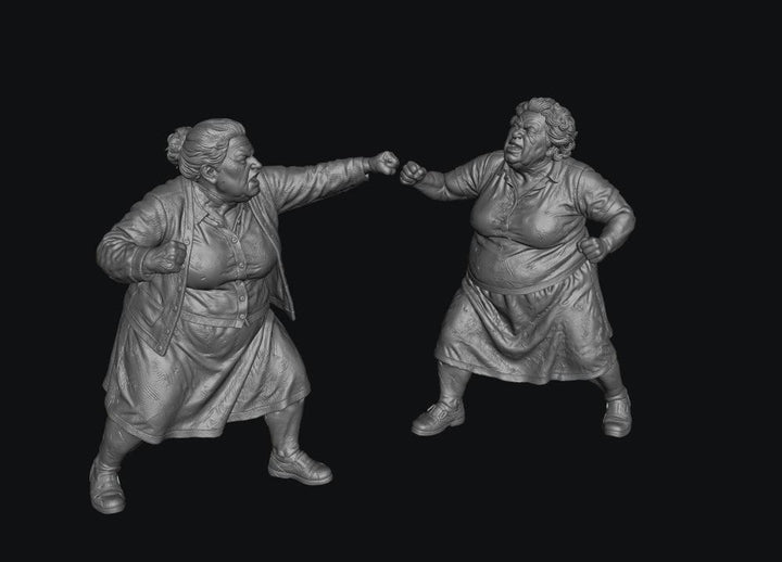 SMF8336 2 Female Pensioners Fighting