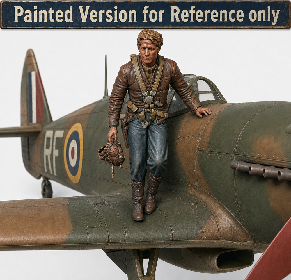SMF9555 WW2 RAF Pilot Getting off Plane