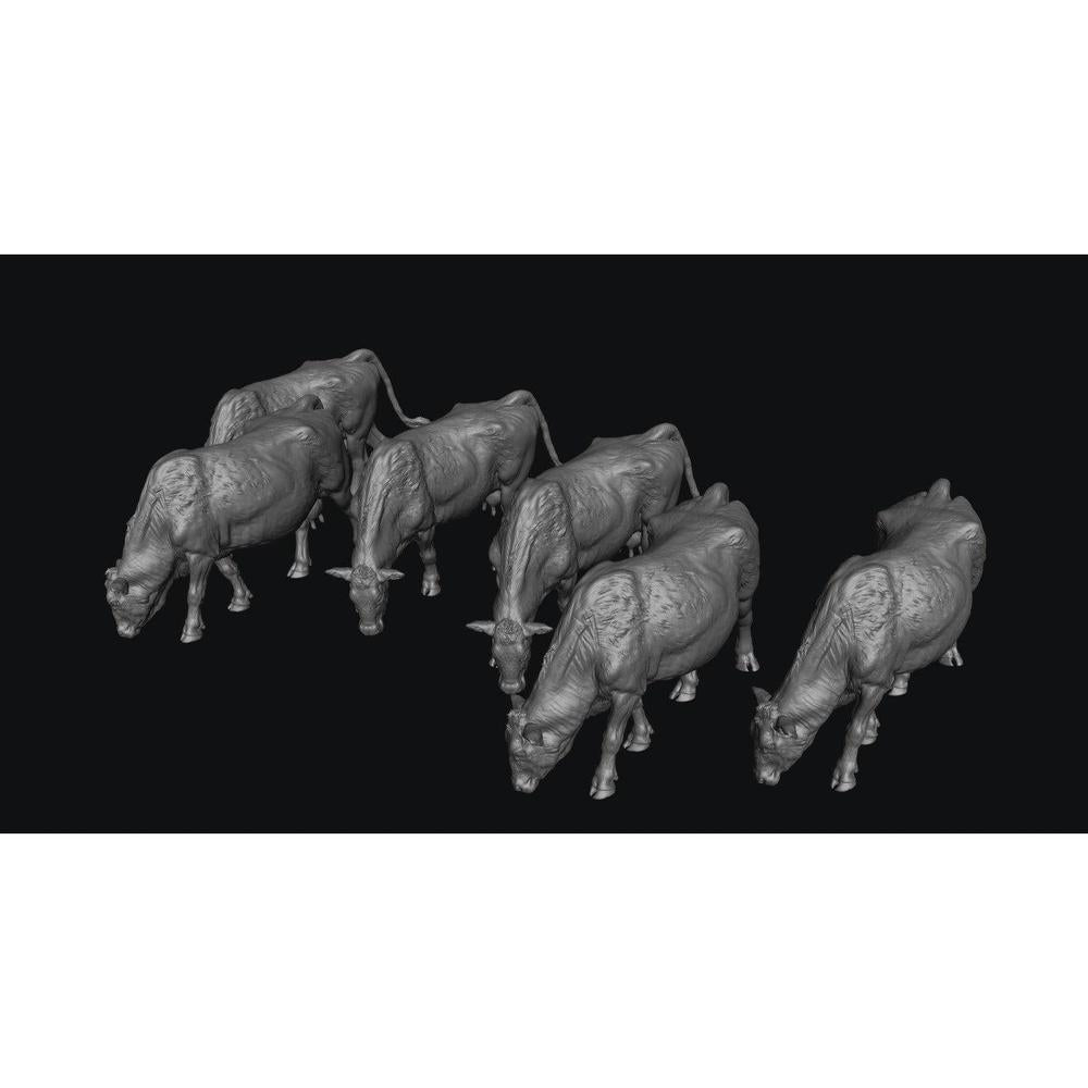 SMFF001 Red Devon Cows Grazing x 6