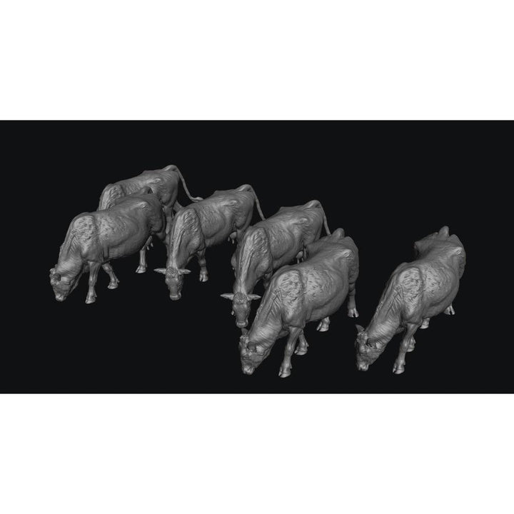 SMFF001 Red Devon Cows Grazing x 6