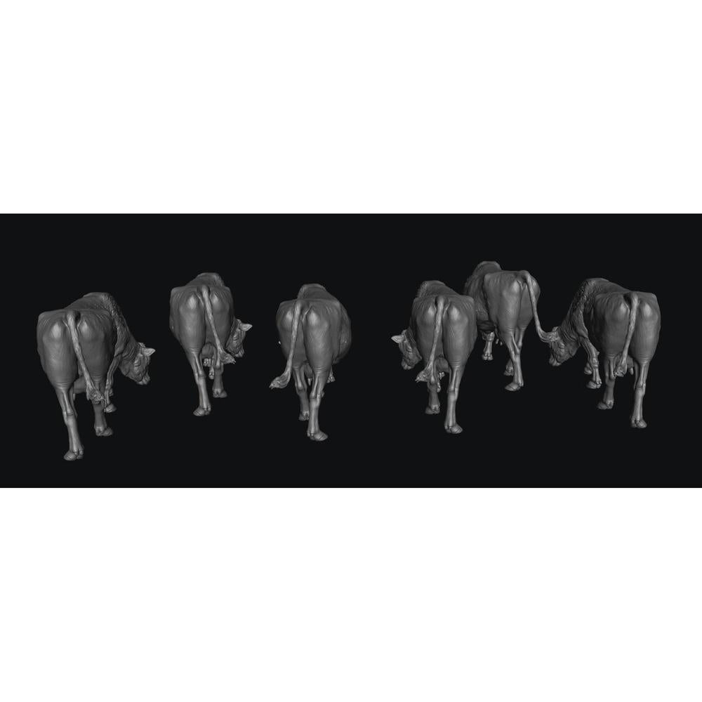 SMFF001 Red Devon Cows Grazing x 6