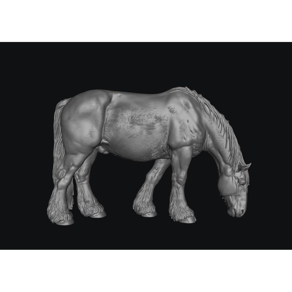 SWF004 Shire Horse B Feeding