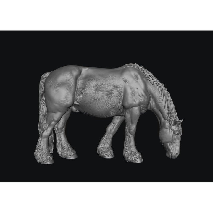 SWF004 Shire Horse B Feeding