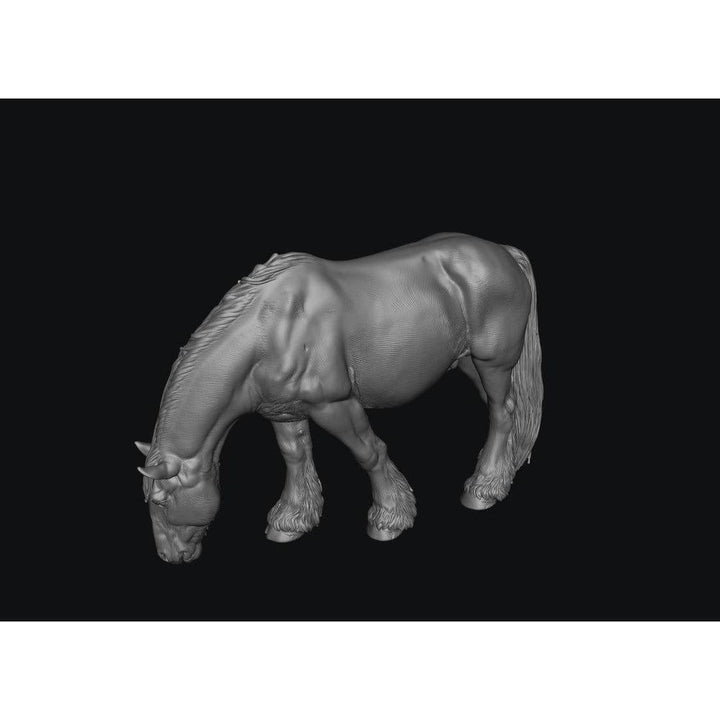 SWF004 Shire Horse B Feeding