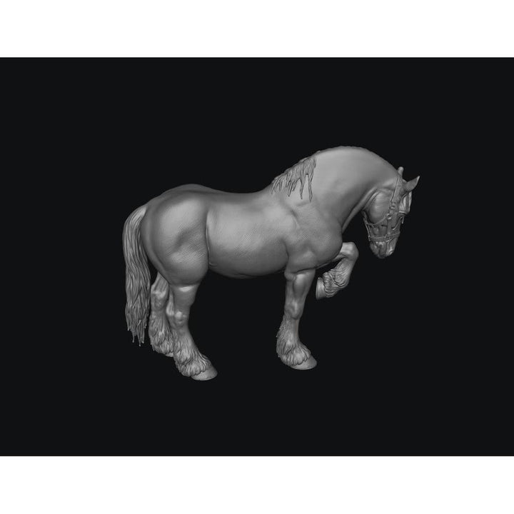 SWF004 Shire Horse D Front Foot Up