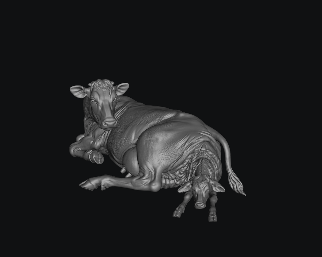 SW9648 Cow Calving