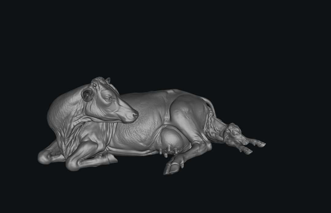 SW9648 Cow Calving