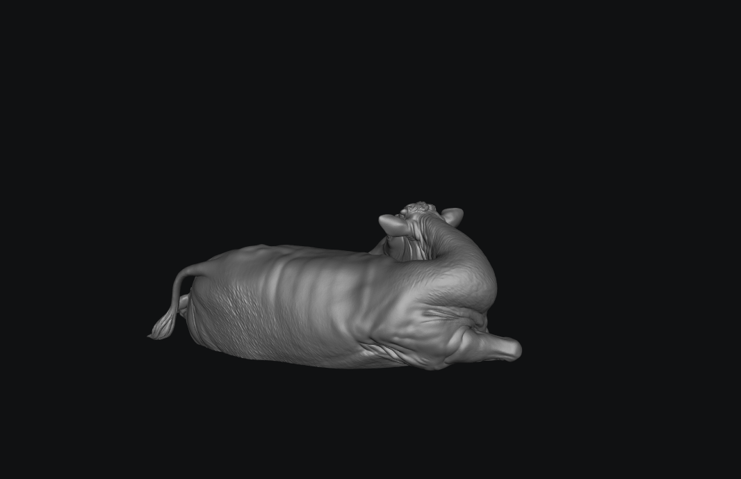 SW9648 Cow Calving