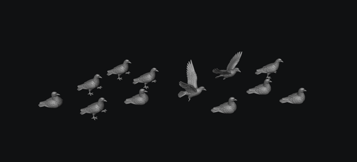 SMFB014 Pigeon&