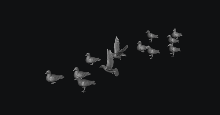SMFB014 Pigeon&
