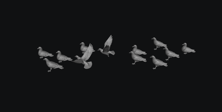 SMFB014 Pigeon&