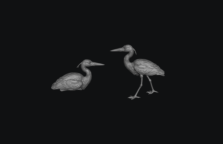 SMFB010 Heron&