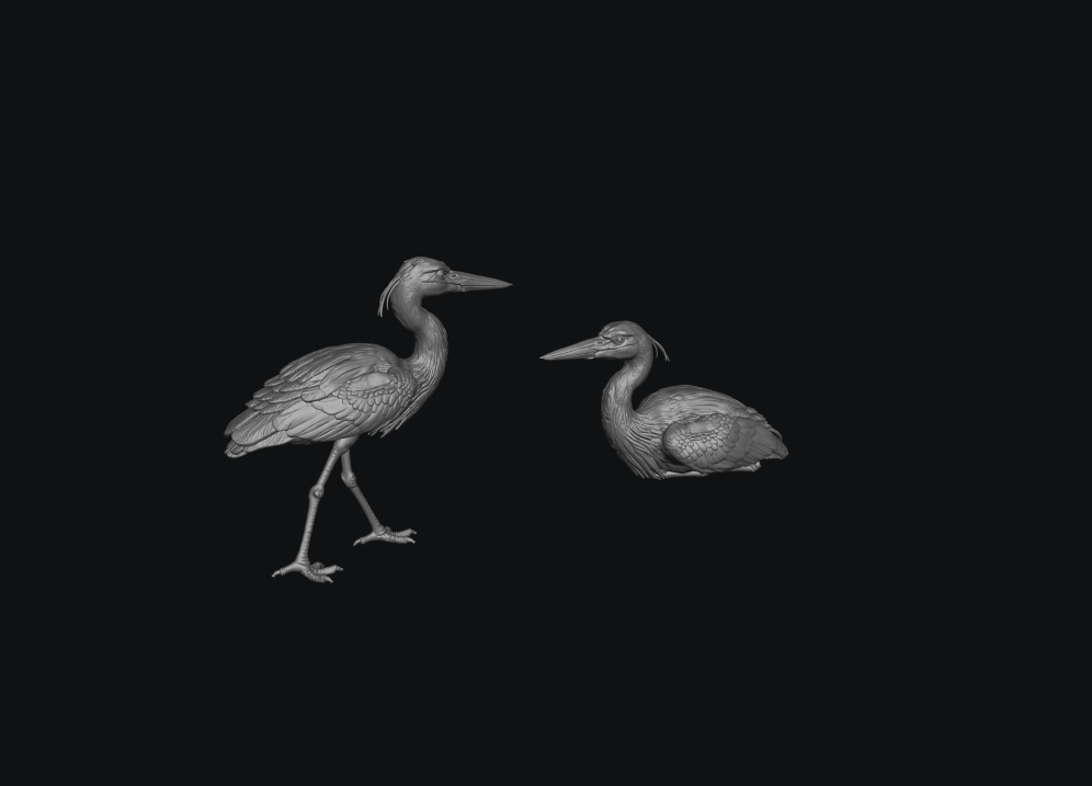 SMFB010 Heron&