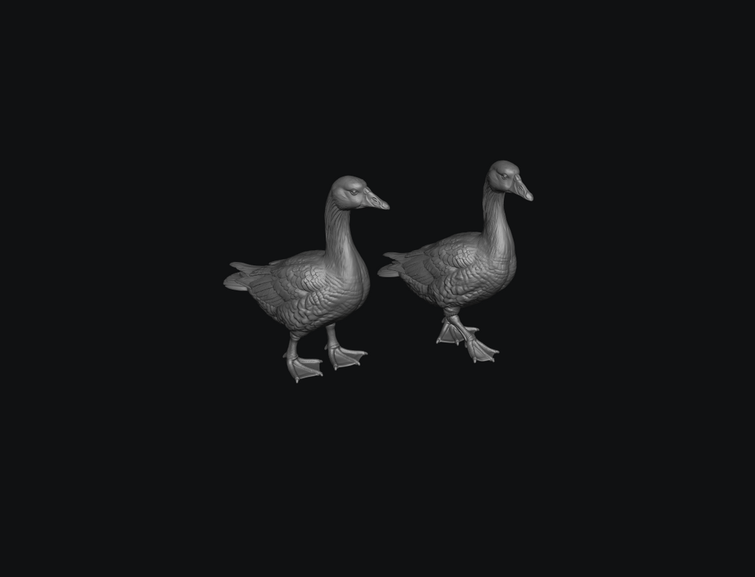 SMFB011 Goose