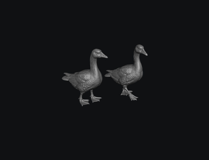 SMFB011 Goose