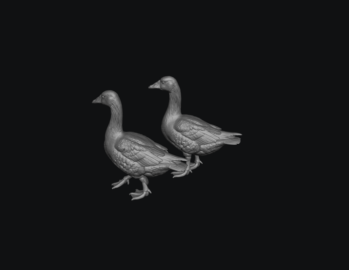 SMFB011 Goose