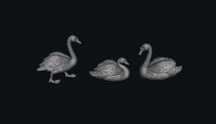 SMFB017 Swan&