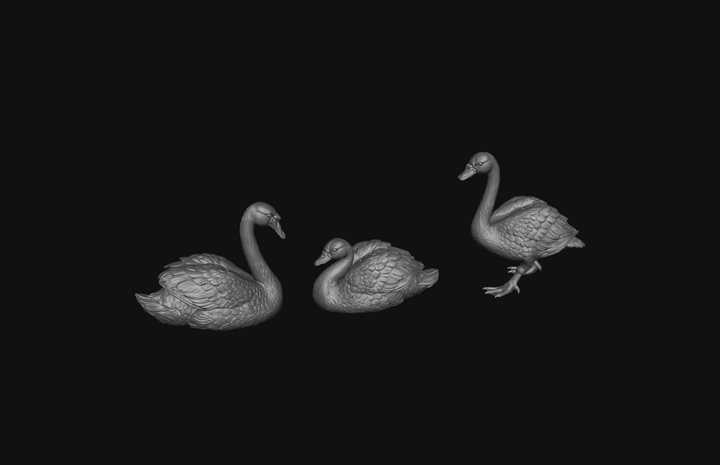 SMFB017 Swan&