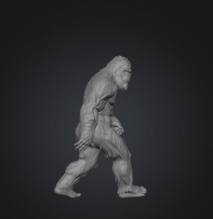 SW2203 Sasquatch