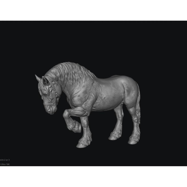 SWF004 Shire Horse D Front Foot Up