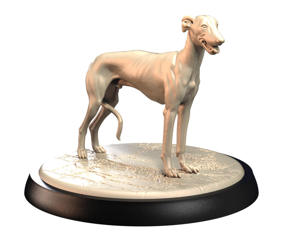 Unpainted 3D printed scale model of a Spanish Greyhound standing on a textured circular base, cream resin finish.