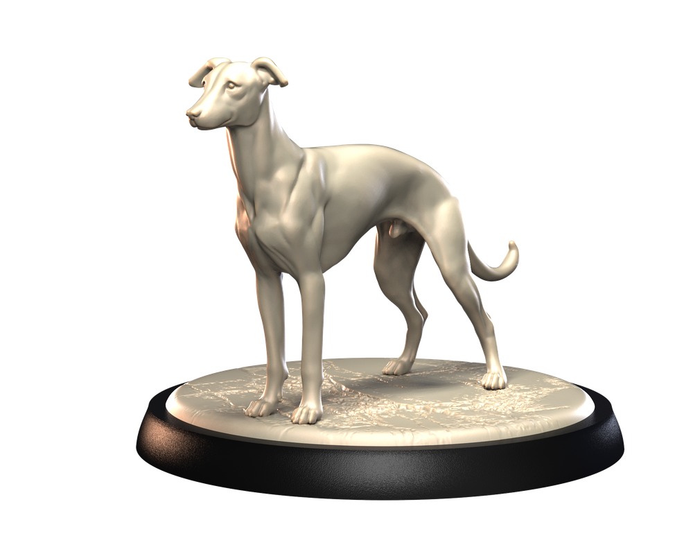 Unpainted 3D printed Whippet dog miniature standing on a textured circular base, ideal for dioramas and hobbyists.