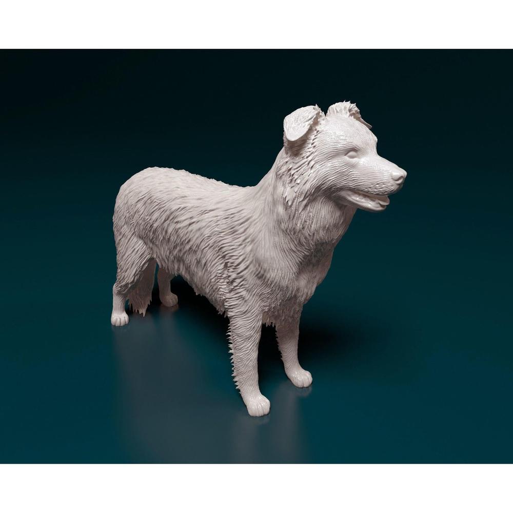 Unpainted 3D printed resin model of a standing Border Collie with detailed fur texture on a dark background.