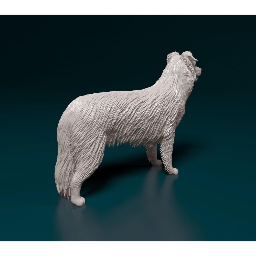 Unpainted 3D printed resin model of a standing Border Collie with detailed fur texture on a dark background.