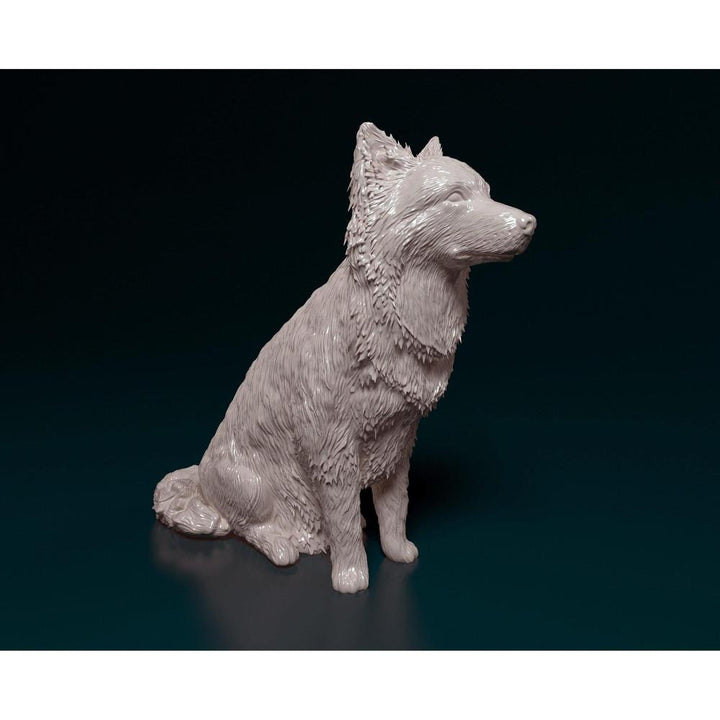 Unpainted 3D printed resin model of a sitting Border Collie with detailed fur texture on a dark background.