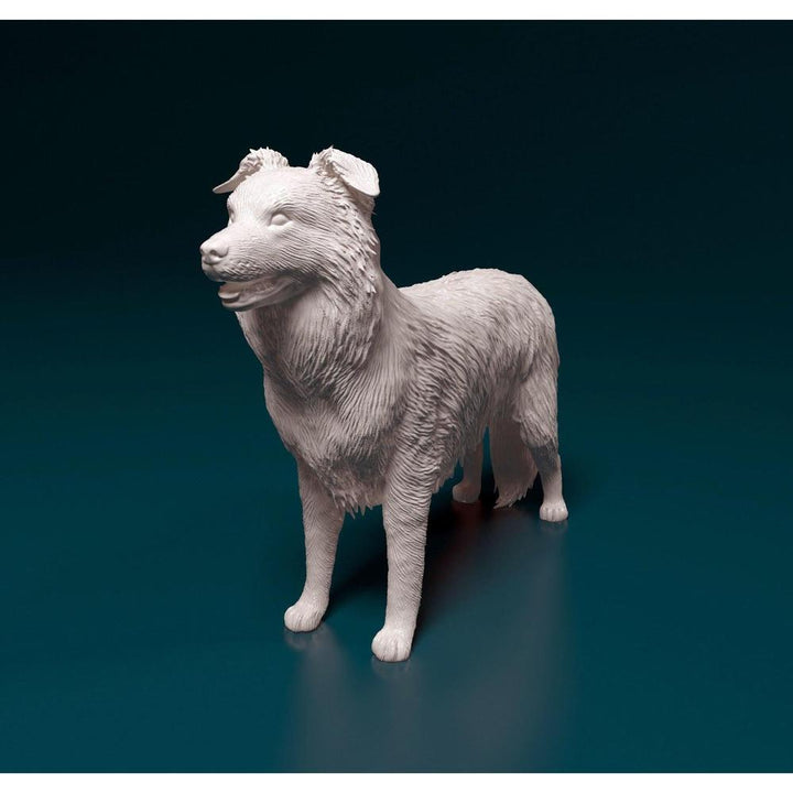 Unpainted 3D printed resin model of a standing Border Collie with detailed fur texture on a dark background.