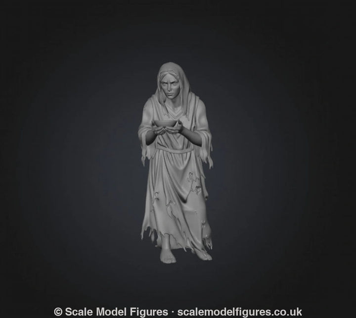 SW9231 Female Begger - Figure