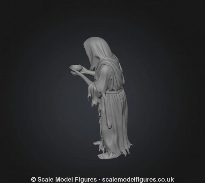 SW9231 Female Begger - Figure