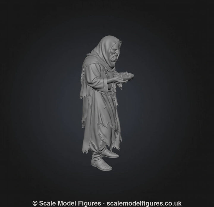 SW9233 Male Begging - Figure