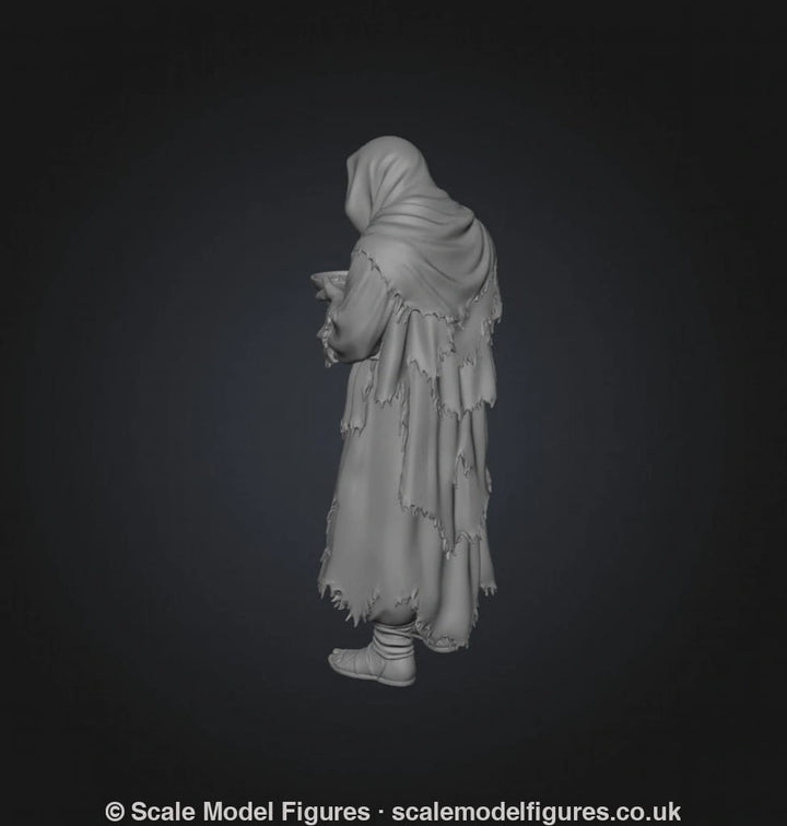 SW9233 Male Begging - Figure