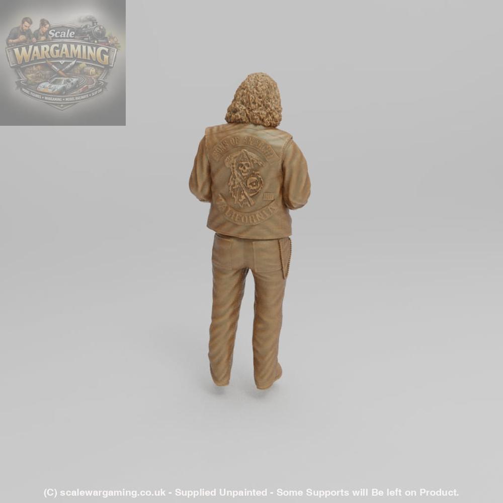 SW1157 Anarchy Bobby - Figure